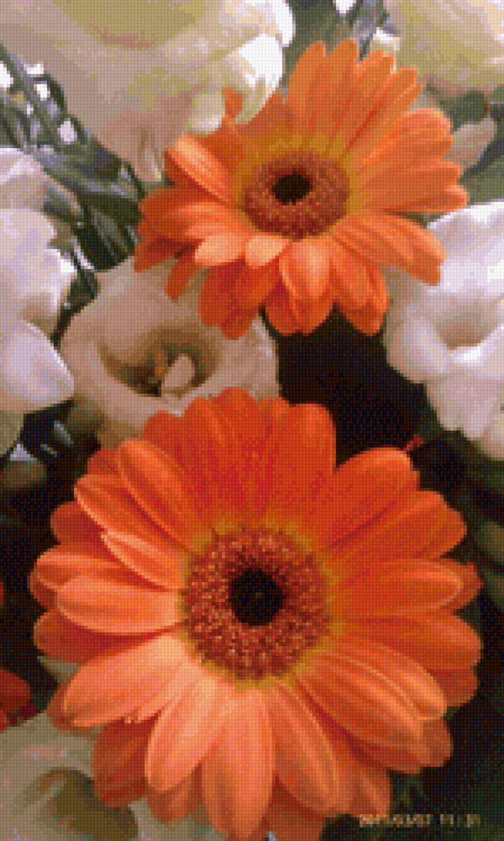 Цветы, герберы - цветы, гербера, оранжевый цветок - предпросмотр