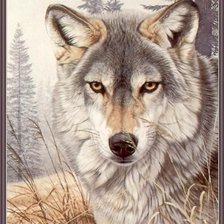 Схема вышивки «дикие»