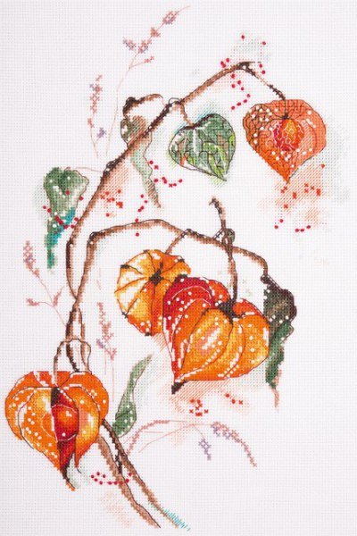 физалис - физалис - оригинал