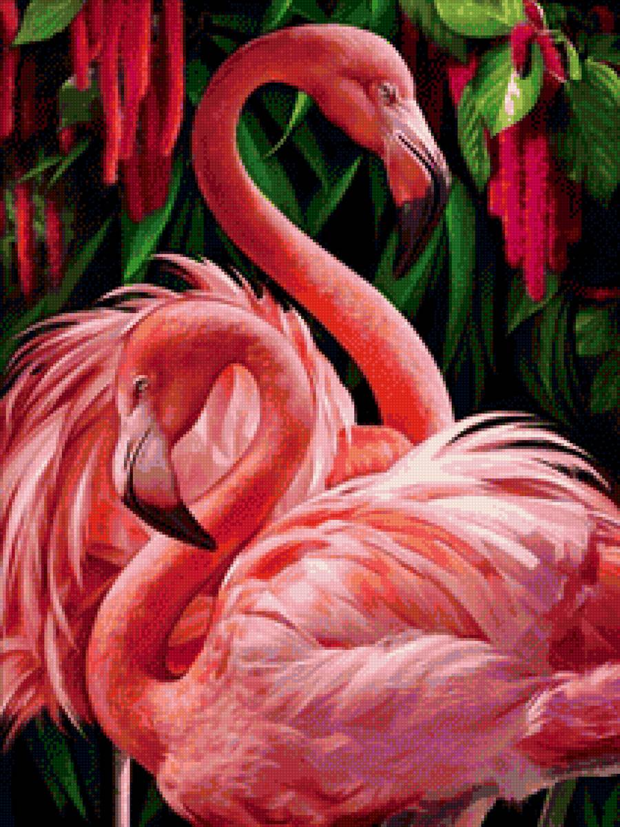 фламинго - фламинго - предпросмотр
