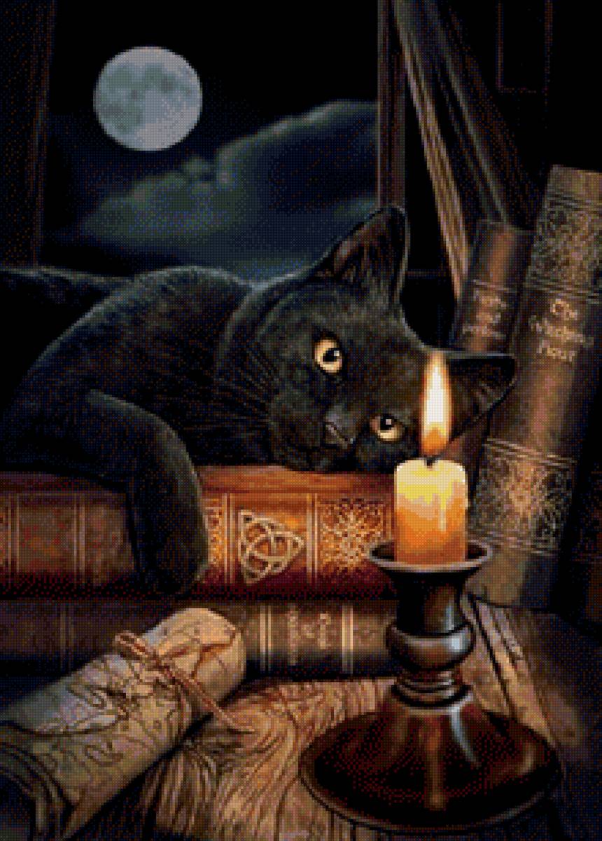 черный кот - черный кот, мордочка, глаза, лежит - предпросмотр