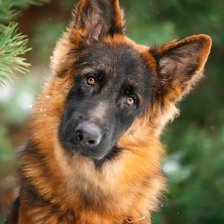 Схема вышивки «951357»