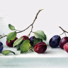 Схема вышивки «ciruelas 1»