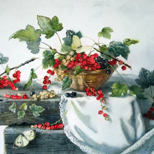 Схема вышивки «grosellas y mariposas»