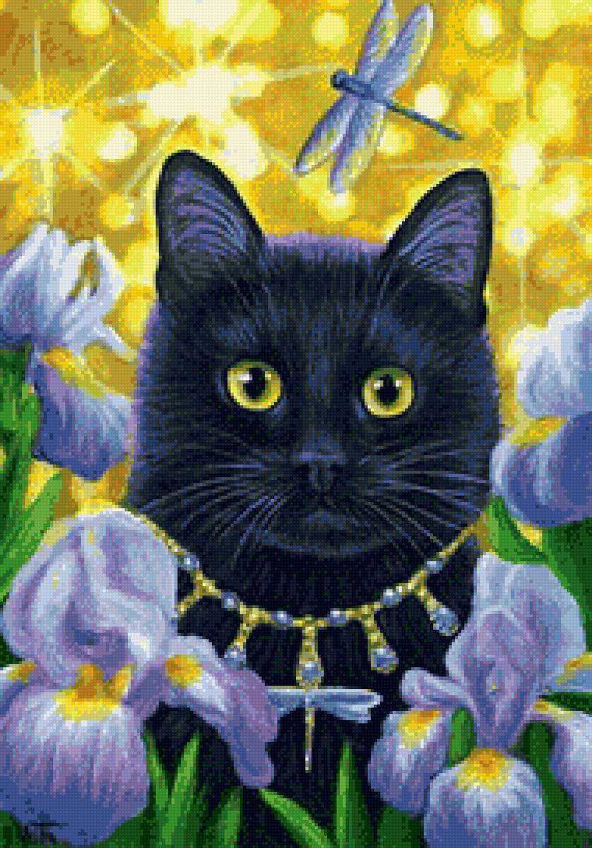 черный кот - мордочка, черный кот, глаза, лежит - предпросмотр