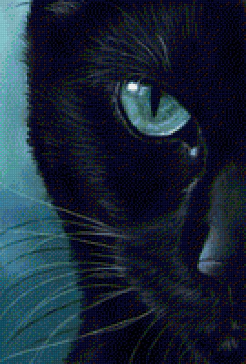черный кот - мордочка, черный кот, глаза - предпросмотр