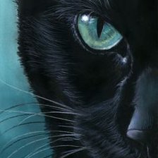 Оригинал схемы вышивки «черный кот» (№2152148)