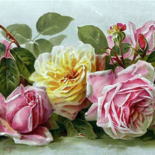 Схема вышивки «желто-розовые розы Поля де Лонгпре»