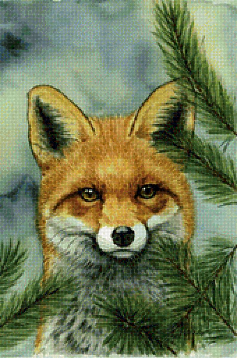 Рыжая красавица - животные, лиса - предпросмотр