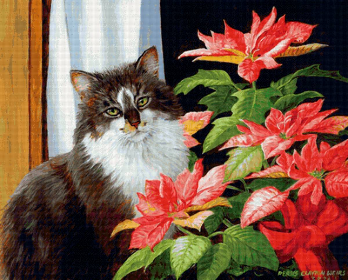 №2152483 - кот - предпросмотр