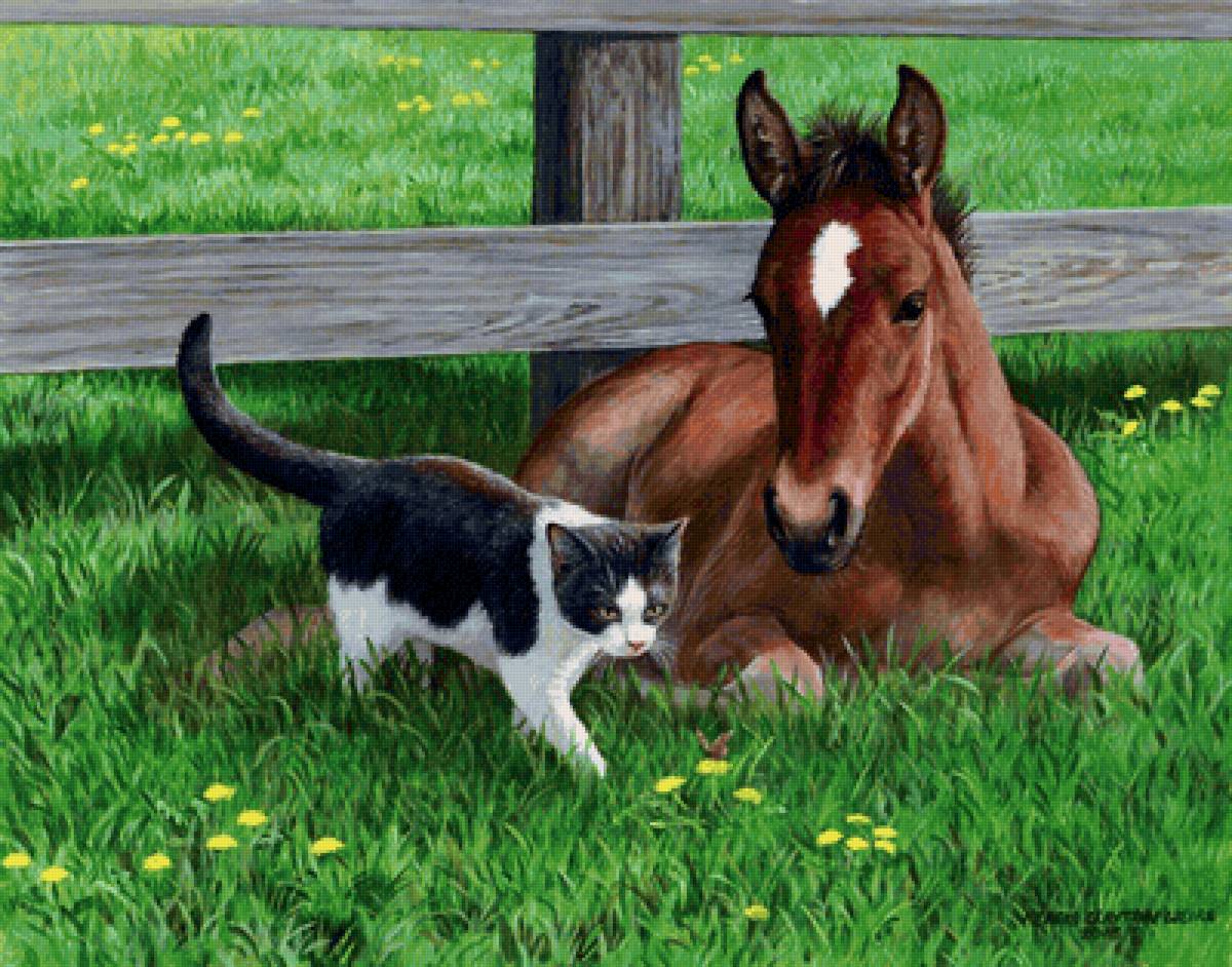 №2152484 - котенок, жеребенок - предпросмотр