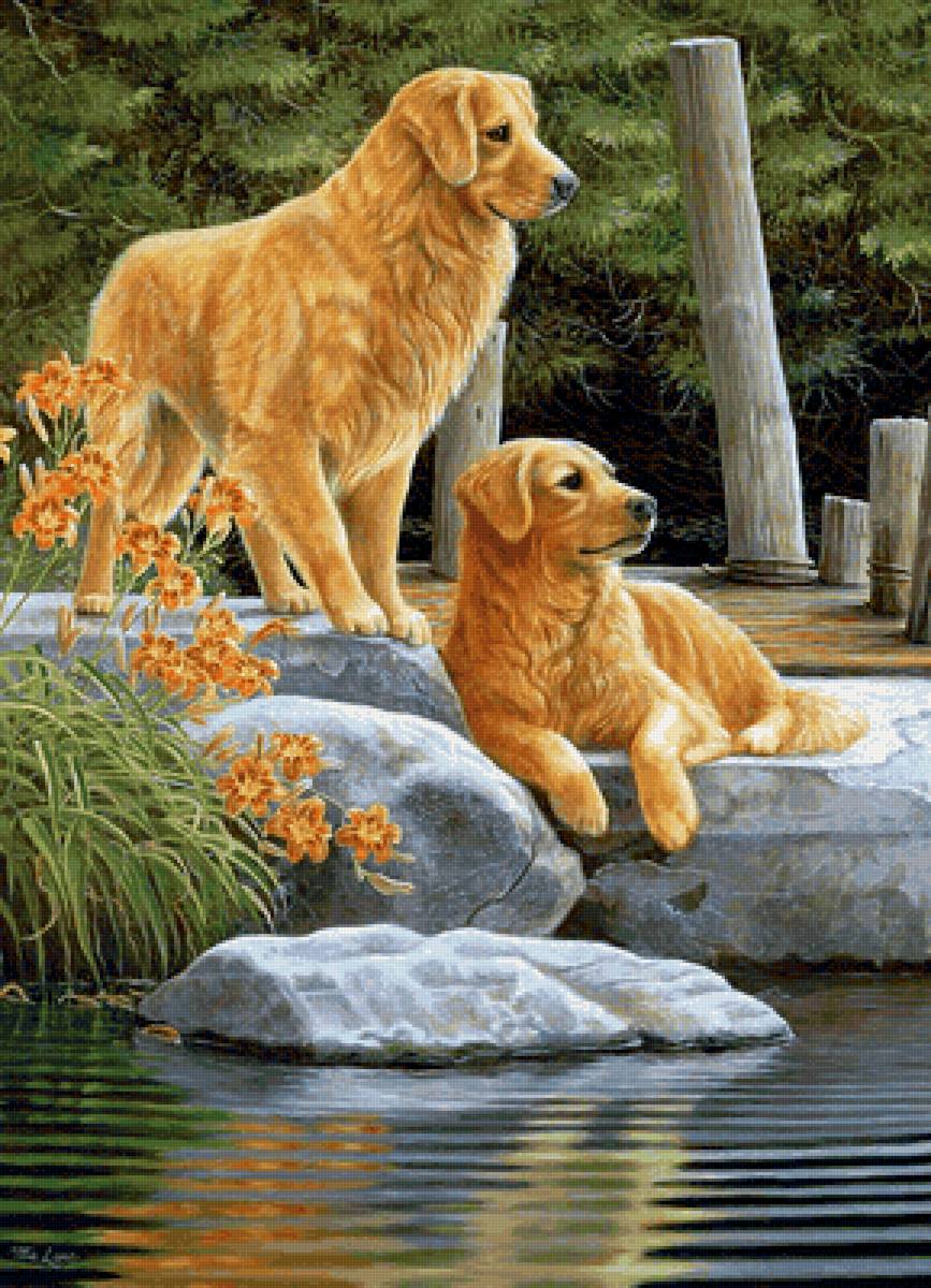 №2152485 - собаки - предпросмотр