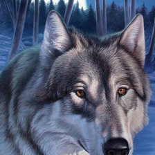 Схема вышивки «дикие»