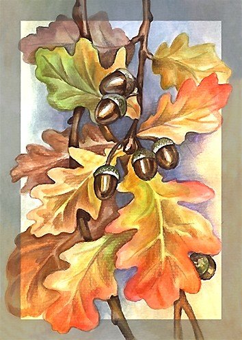 рисунок - оригинал