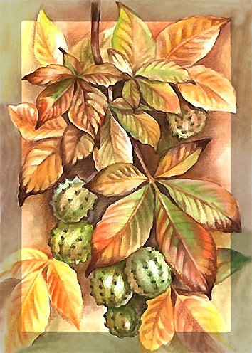 рисунок - оригинал