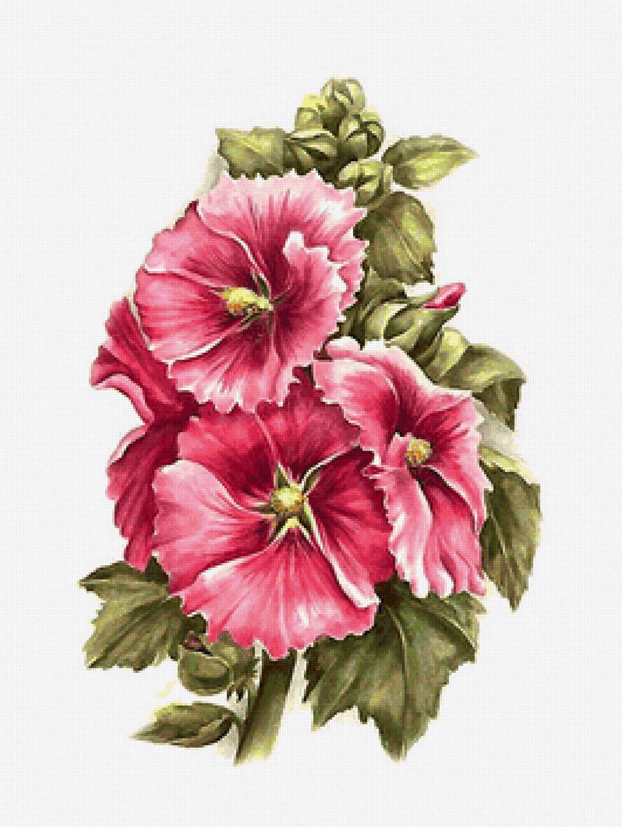 цветы - предпросмотр