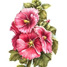 Схема вышивки «цветы»