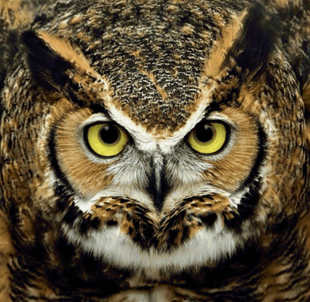 №2152848 - предпросмотр