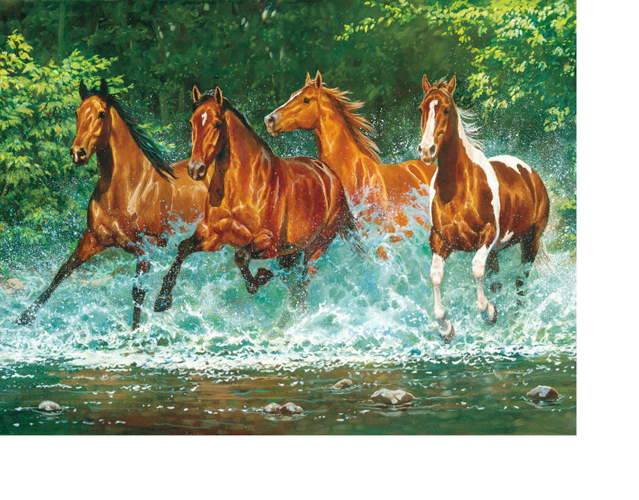 Кони - животные, лошади, река - оригинал