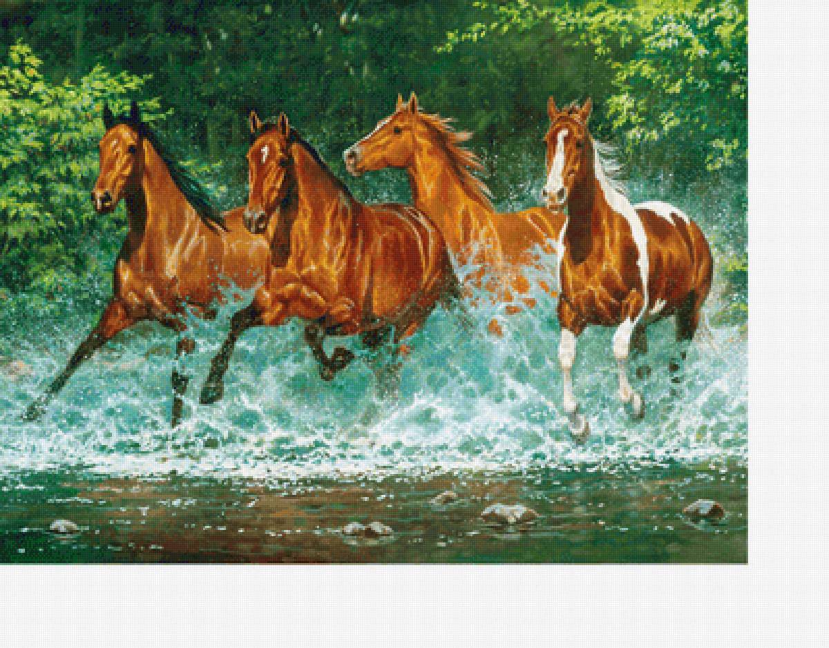Кони - река, животные, лошади - предпросмотр