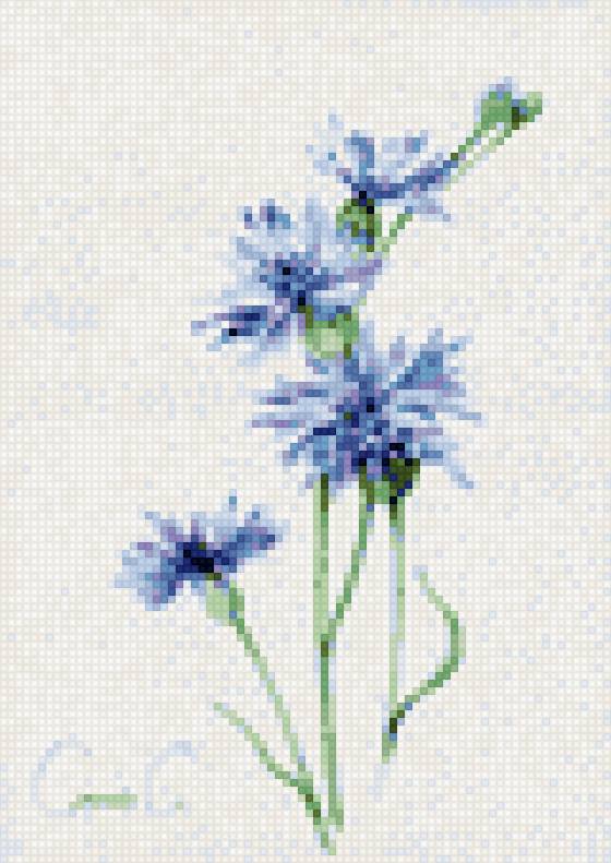 василек - предпросмотр