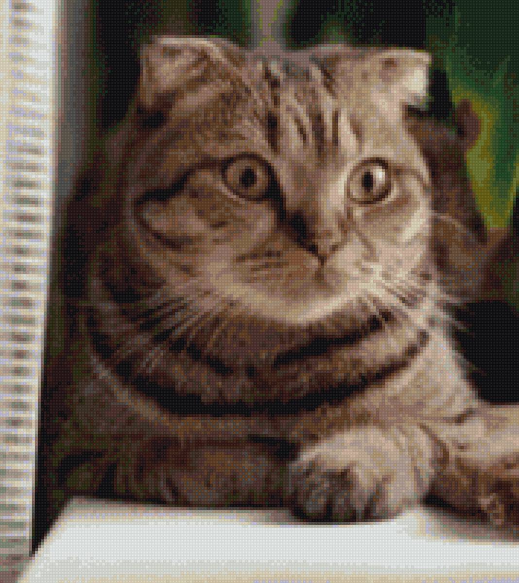 Тимон - предпросмотр