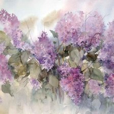 Схема вышивки «№2153662»