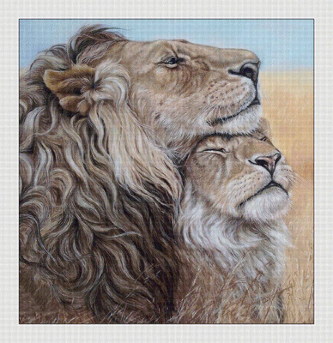 Нежность - любовь, хищники, нежность, львы - предпросмотр