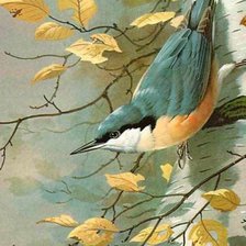 Схема вышивки «№2153962»