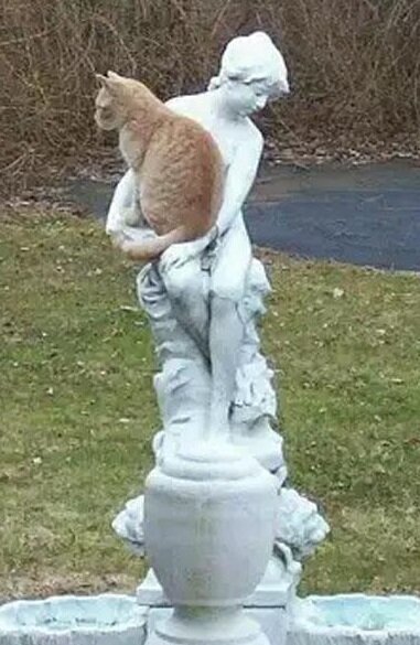 Мы в ссоре, но я ее все равно не босаю - статуи, кошки, юмор - оригинал