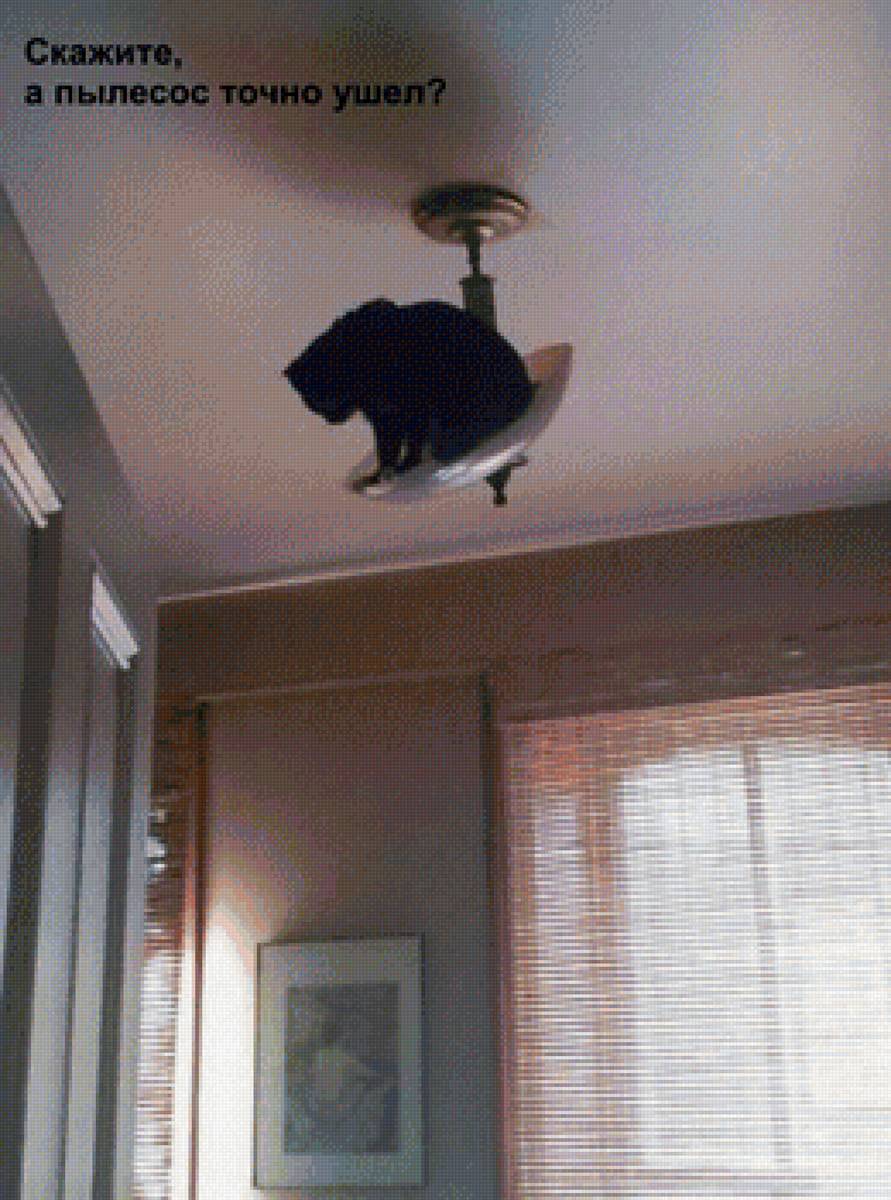 Скажите, а пылесос точно ушел? - комната, кошки, юмор - предпросмотр