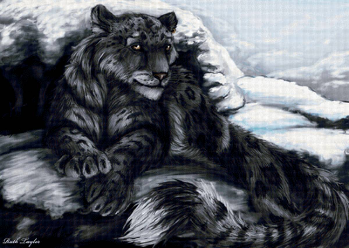 №2154164 - снег, черный барс, горы - предпросмотр