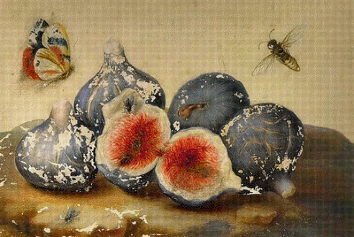 инжир - картина - предпросмотр