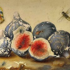 Схема вышивки «инжир»