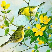 Желтые птицы и цветы