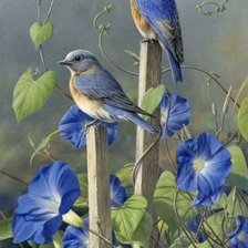 Оригинал схемы вышивки «Синие птицы и цветы» (№2154349)