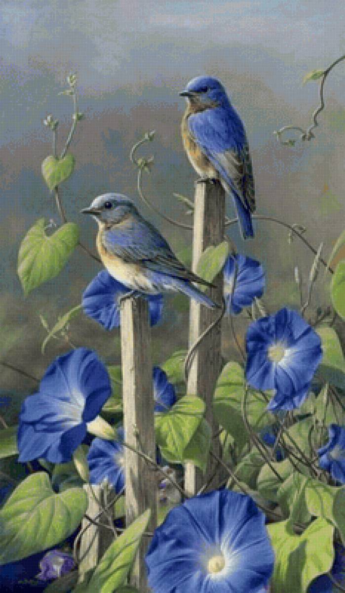 Синие птицы и цветы - цветы, природа, птицы - предпросмотр
