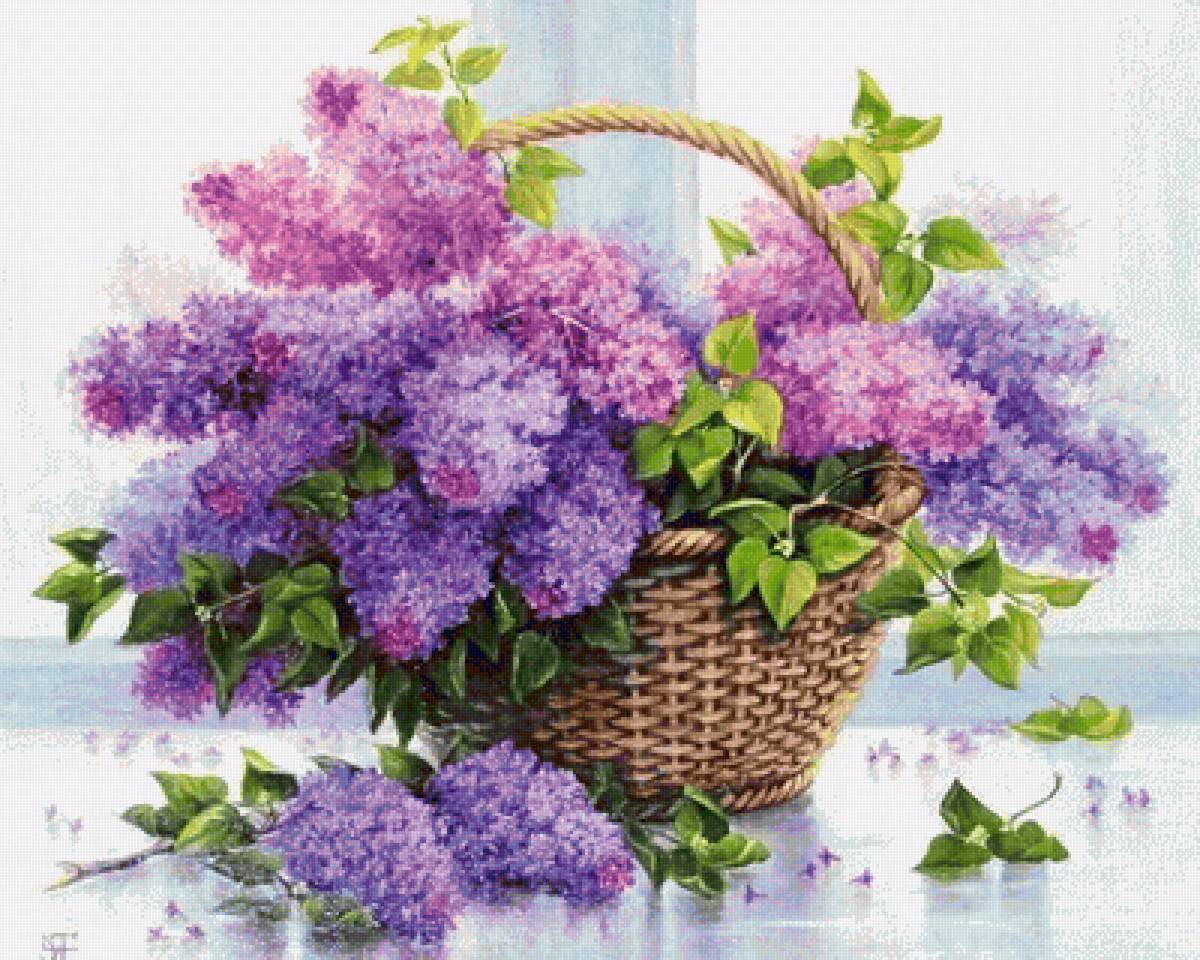 №2154692 - предпросмотр