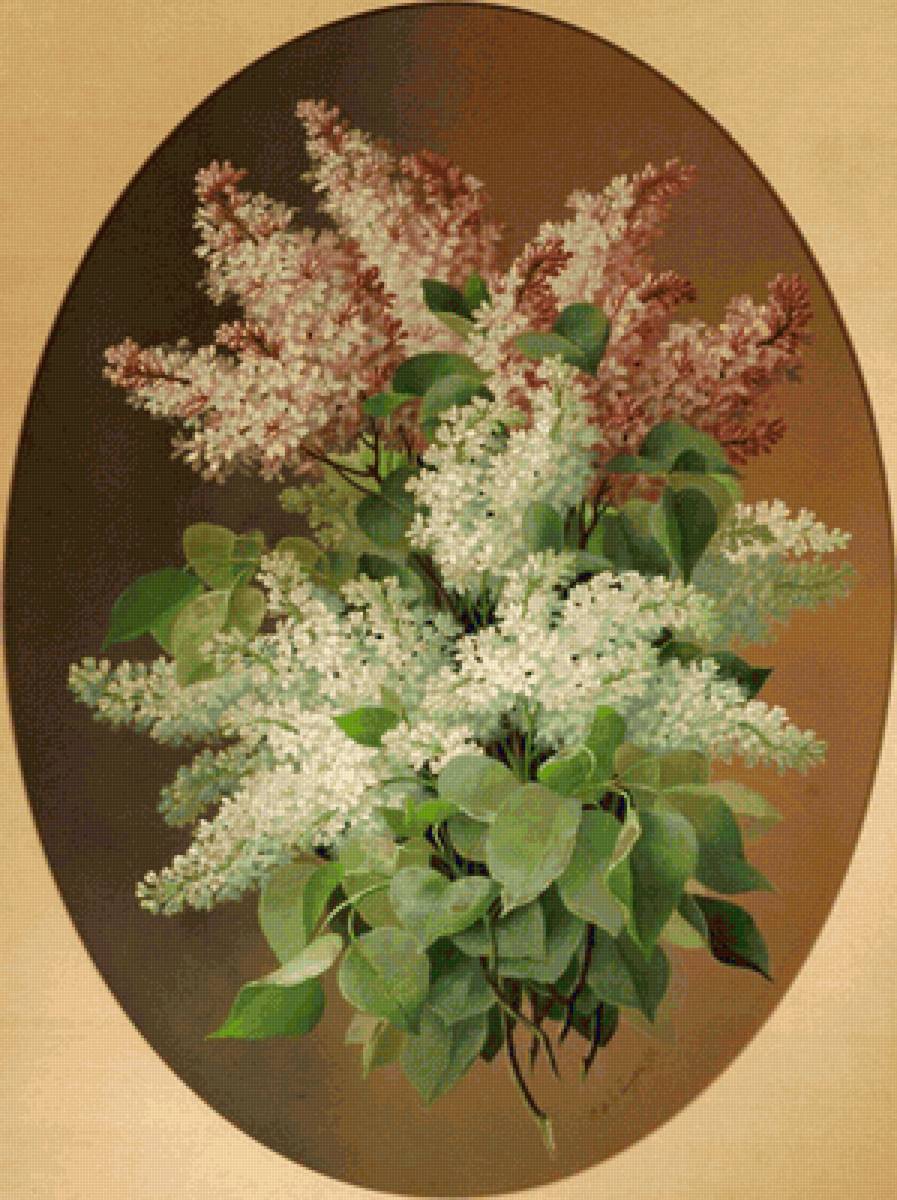 №2154698 - предпросмотр