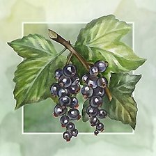 Схема вышивки «№2155031»