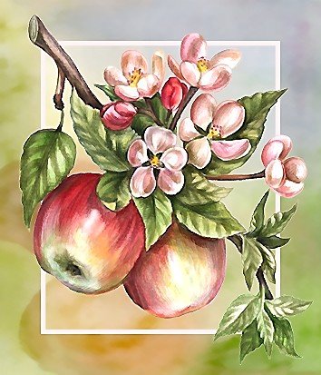 №2155033 - оригинал