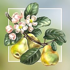 Схема вышивки «№2155035»