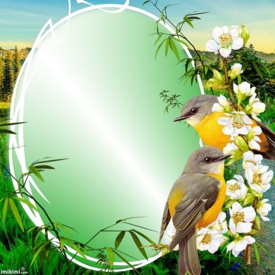 №2155078 - оригинал