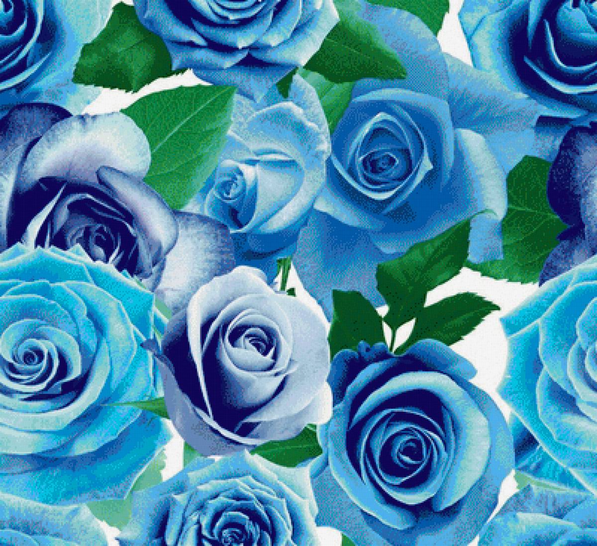 Открытки синего цвета. Голубые розы картинки. Сине белые цветы.