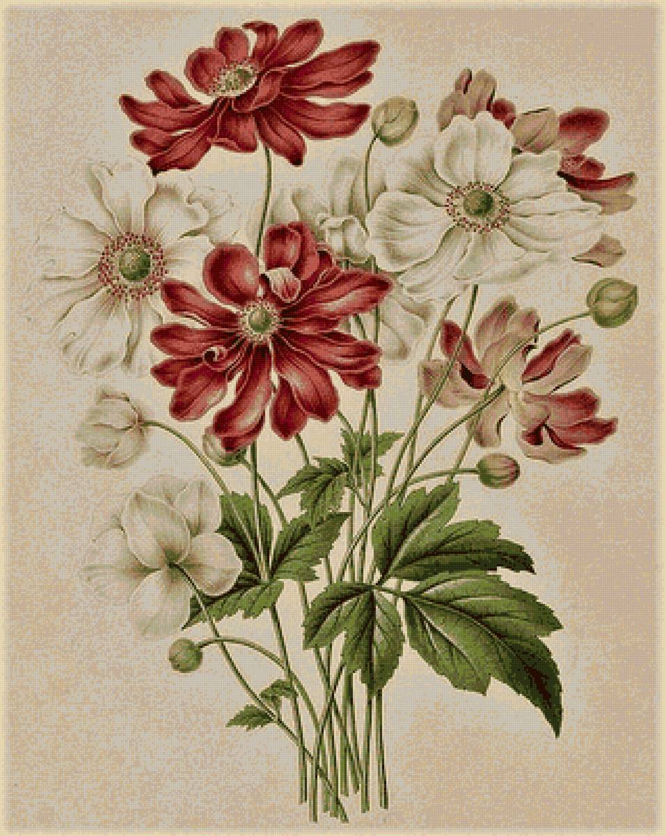 №2155721 - предпросмотр