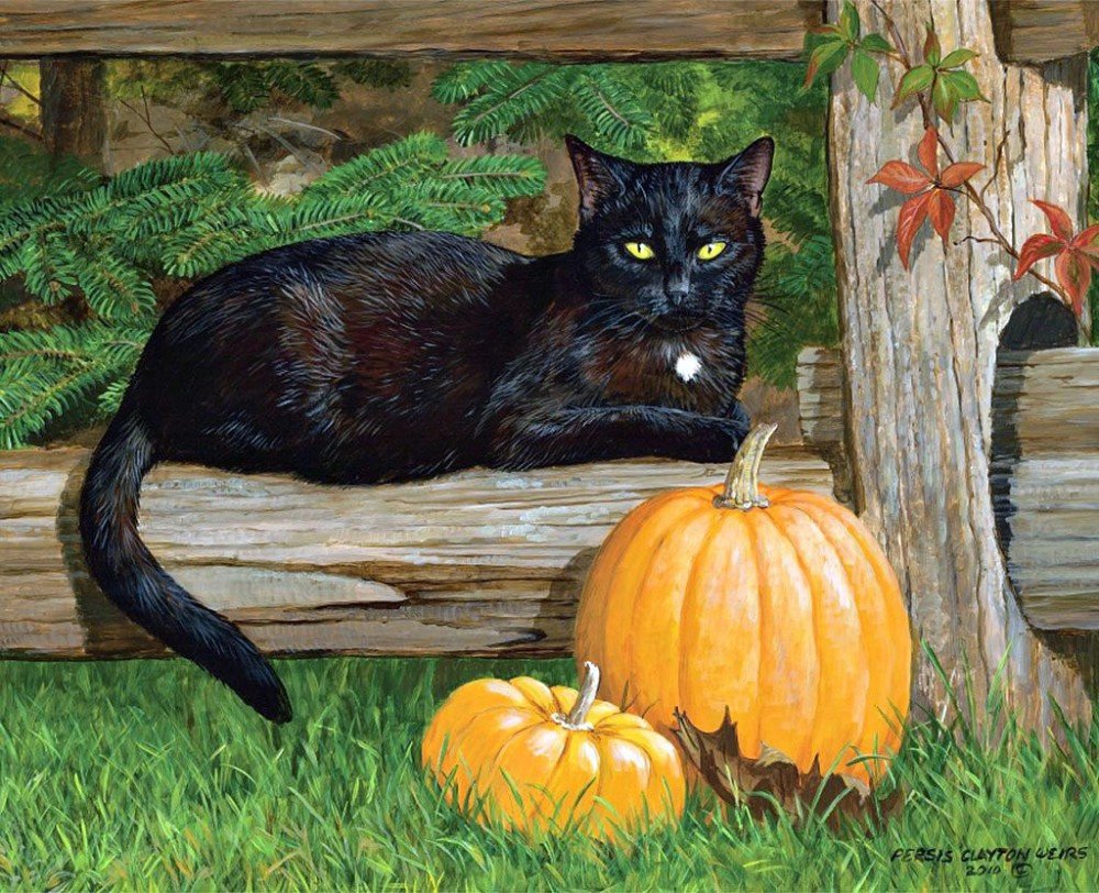 №2156225 - кот, тыква - оригинал