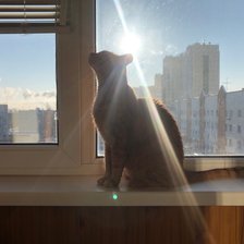 Схема вышивки «Кот на окне»