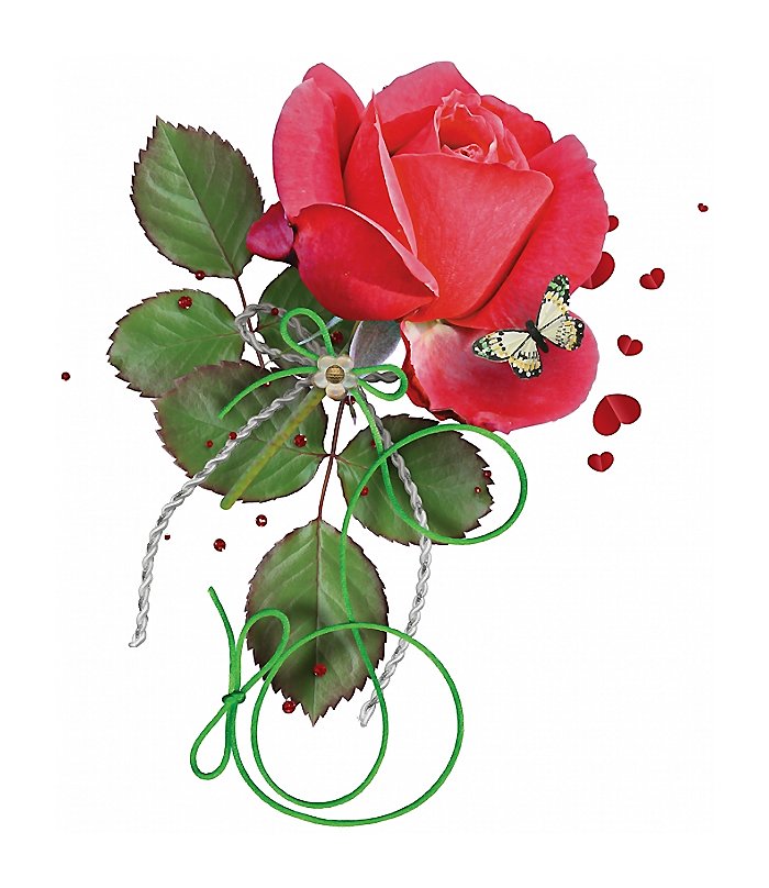 роза - роза, цветок, бабочка - оригинал