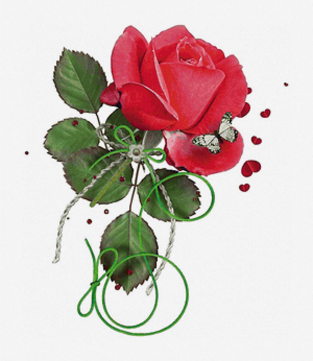 роза - бабочка, цветок, роза - предпросмотр