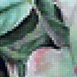 Предпросмотр схемы вышивки «розовый куст» (№2156603)